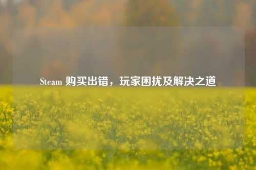 Steam 购买出错，玩家困扰及解决之道