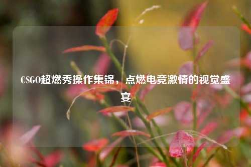 CSGO超燃秀操作集锦，点燃电竞     的视觉盛宴