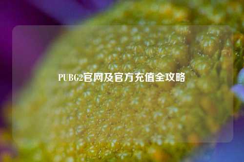 PUBG2官网及官方充值全攻略