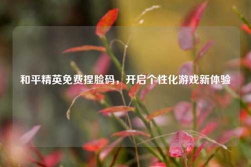 和平精英免费捏脸码，开启个性化游戏新体验