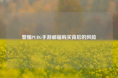 警惕PUBG手游邮箱购买背后的风险
