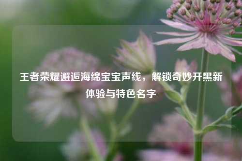 王者荣耀邂逅海绵宝宝声线，解锁奇妙开黑新体验与特色名字