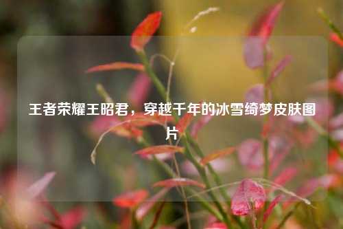 王者荣耀王昭君，穿越千年的冰雪绮梦皮肤图片