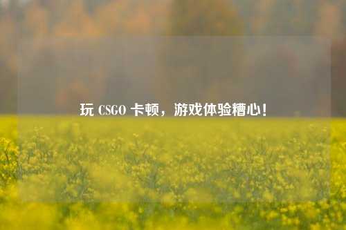 玩 CSGO 卡顿，游戏体验糟心！