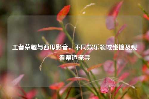 王者荣耀与西瓜影音，不同娱乐领域碰撞及观看渠道探寻
