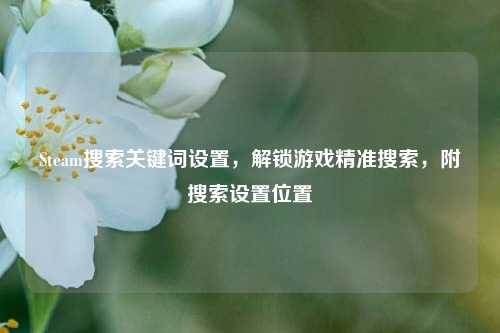 Steam搜索关键词设置，解锁游戏精准搜索，附搜索设置位置
