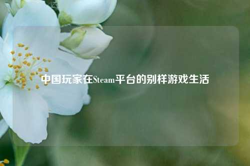 中国玩家在Steam平台的别样游戏生活