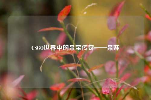 CSGO世界中的呆宝传奇——呆妹