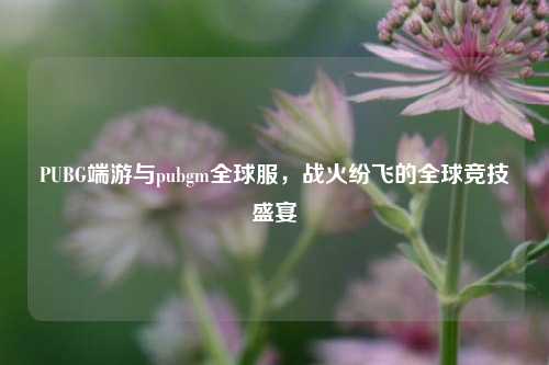 PUBG端游与pubgm全球服，战火纷飞的全球竞技盛宴