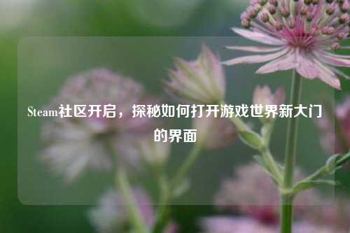 Steam社区开启，探秘如何打开游戏世界新大门的界面