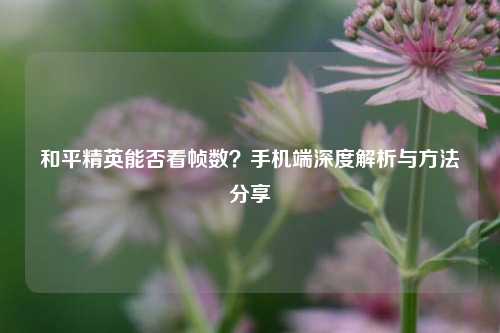 和平精英能否看帧数？手机端深度解析与     分享
