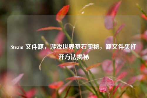 Steam 文件源，游戏世界基石奥秘，源文件夹打开     揭秘