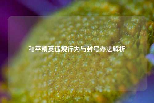 和平精英违规行为与封号办法解析