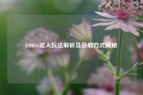 COD16泥人玩法解析及获取方式揭秘