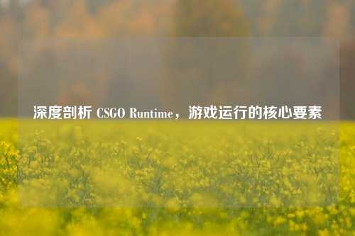 深度剖析 CSGO Runtime，游戏运行的核心要素