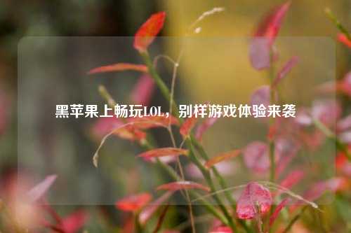 黑苹果上畅玩LOL，别样游戏体验来袭