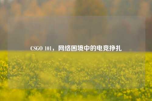 CSGO 101，     困境中的电竞挣扎