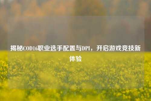 揭秘COD16职业选手配置与DPI，开启游戏竞技新体验
