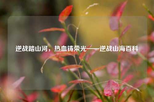 逆战踏山河，热血铸荣光——逆战山海百科