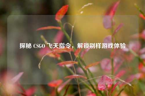 探秘 CSGO 飞天指令，解锁别样游戏体验
