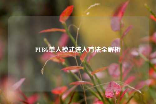 PUBG单人模式进入     全解析