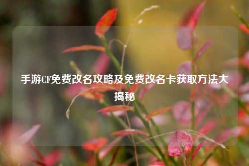 手游CF免费改名攻略及免费改名卡获取     大揭秘