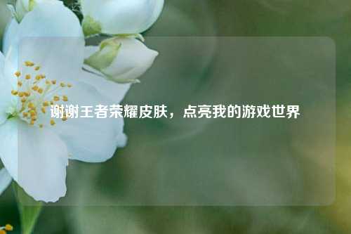 谢谢王者荣耀皮肤，点亮我的游戏世界